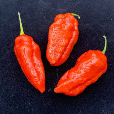 Komodo Dragon - Seeds - The Pepper Pantry (Formerly Marie Sharp's)